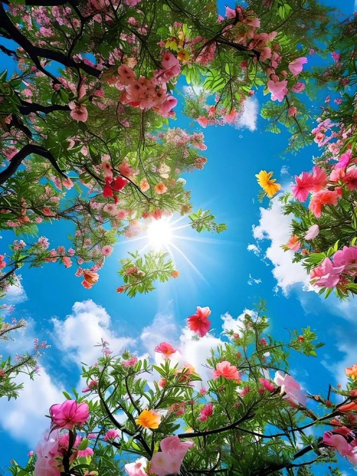 Beautiful sky and flowers in the garden