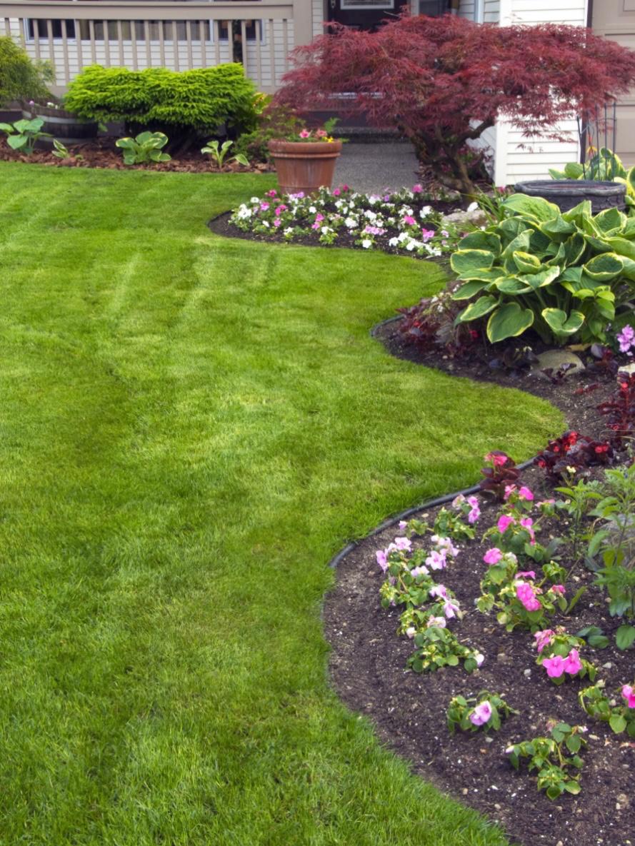 Beautiful lawn with manicured flowers